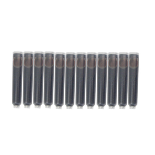 Pack de 12 cartouches d’encre marron pour stylos plume Xezo